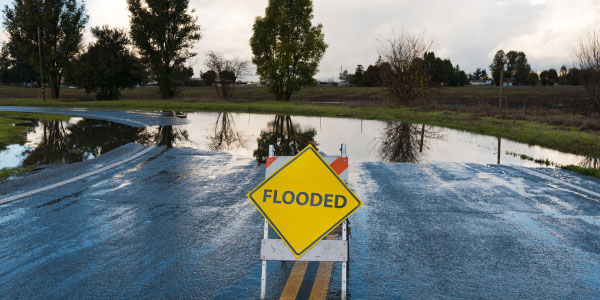 The Impact of Climate Change on New Zealand Property