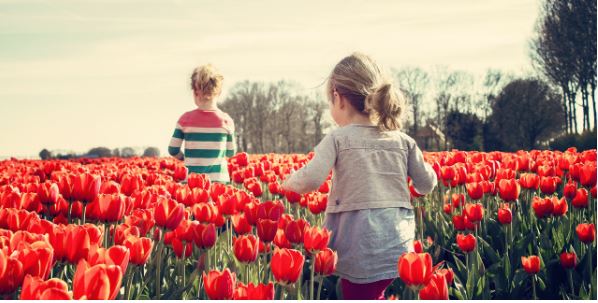 Why Springtime Brings Happiness